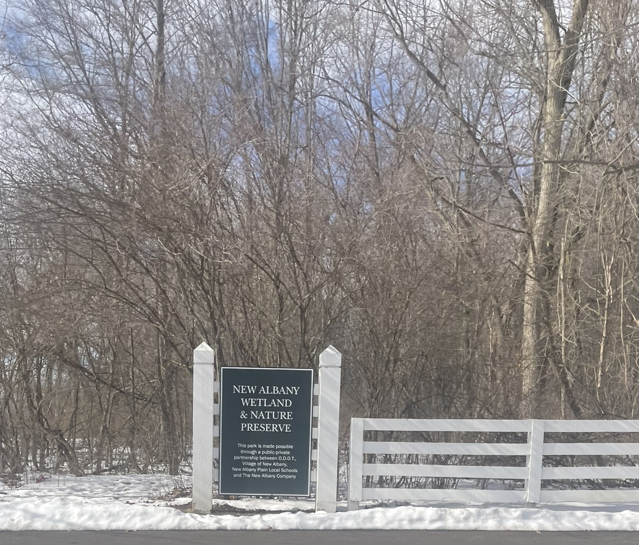 New Albany Ohio wetland and nature preserve — mold spore and organic pollen source near homes