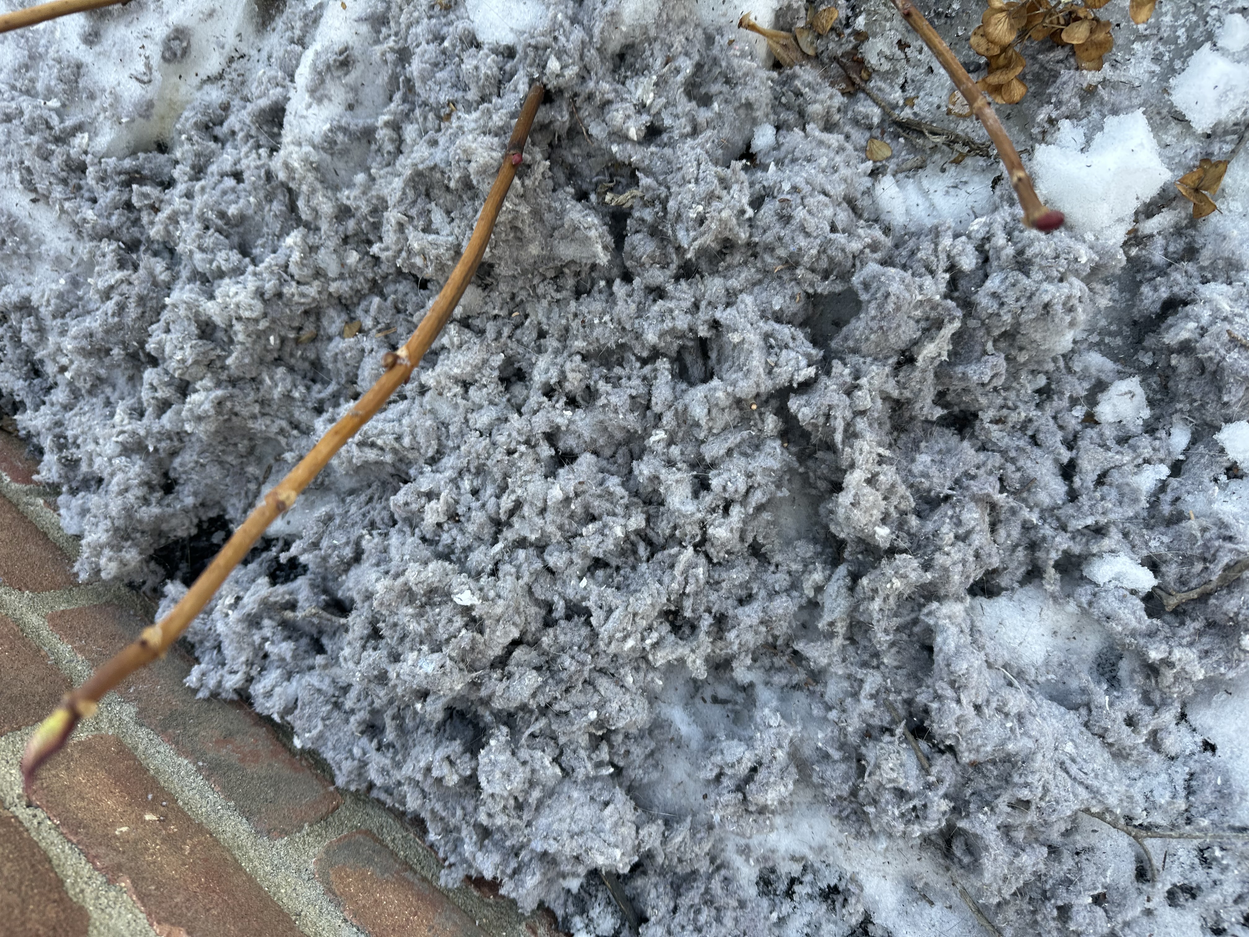 Dryer vent lint removed from Hampsted Village New Albany home — they wanted a white Christmas not lint