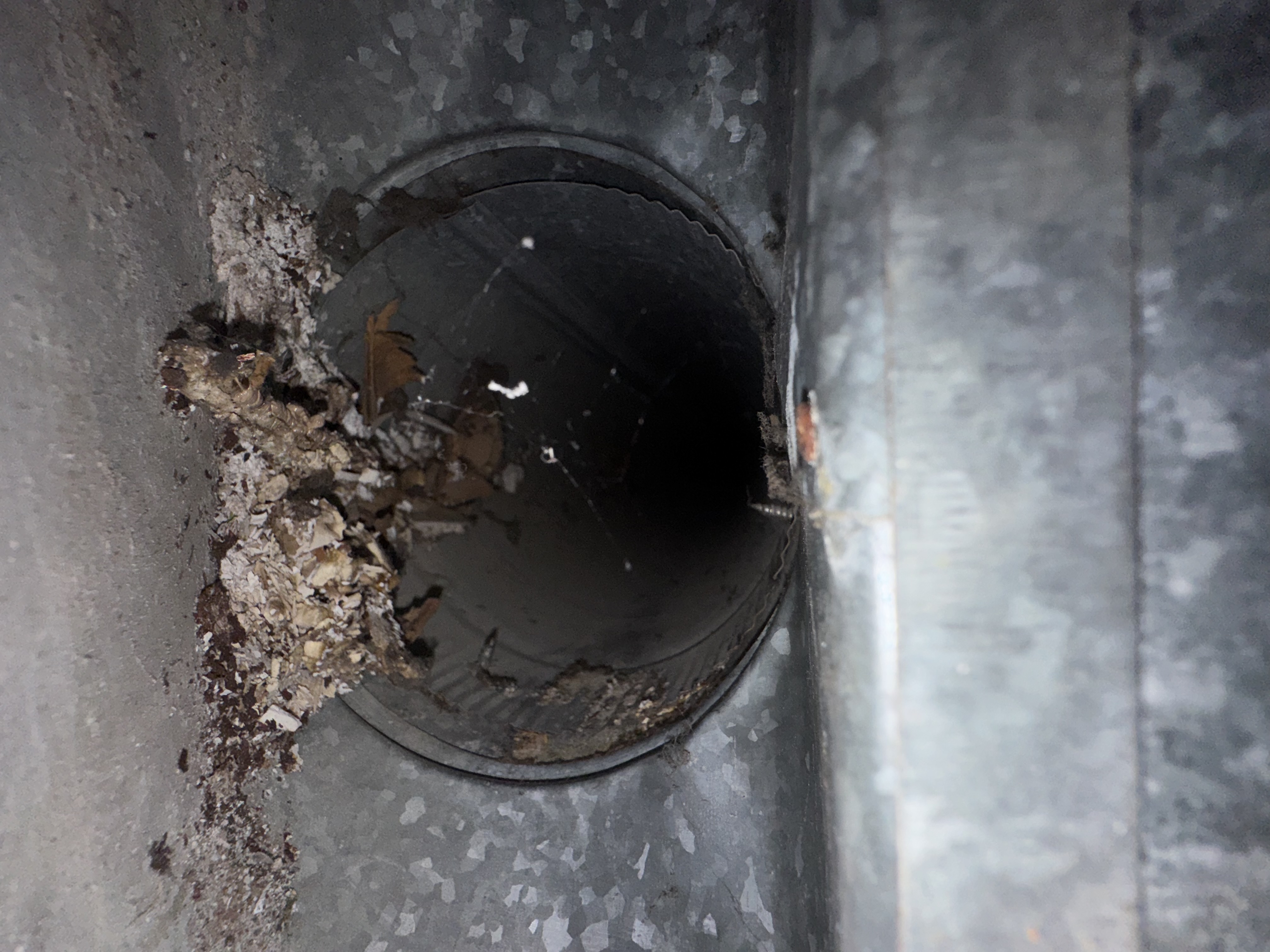 Old Town Pataskala home vent before cleaning — food debris and leaves caked in the duct opening, source of an in-home odor