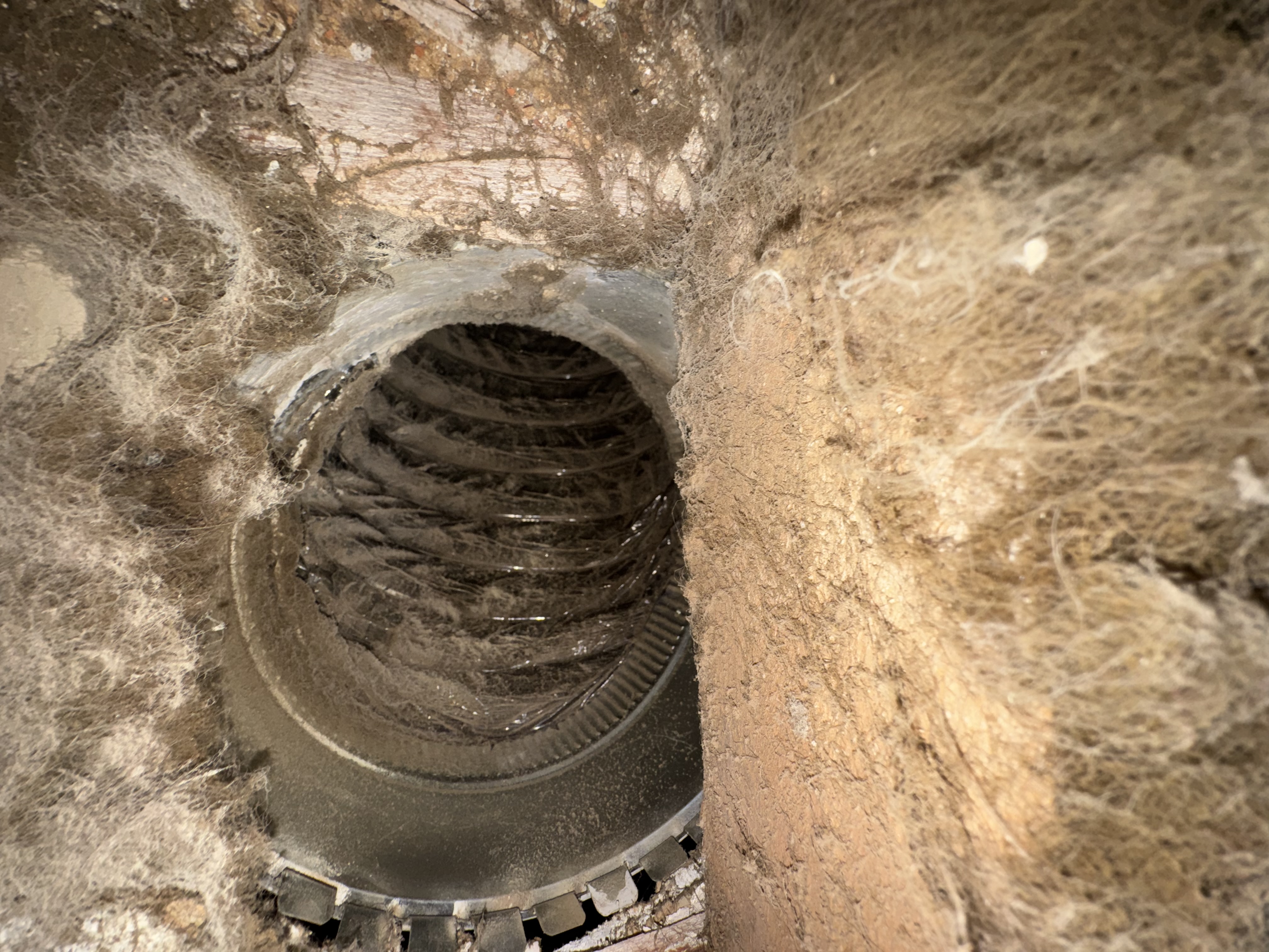 Olde Pickerington Village home before duct cleaning — interior of trunk line caked with dog hair from previous owner's three dogs
